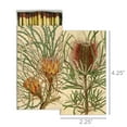 thumbnail image 2 of HomArt Protea Match Box, 2 of 3