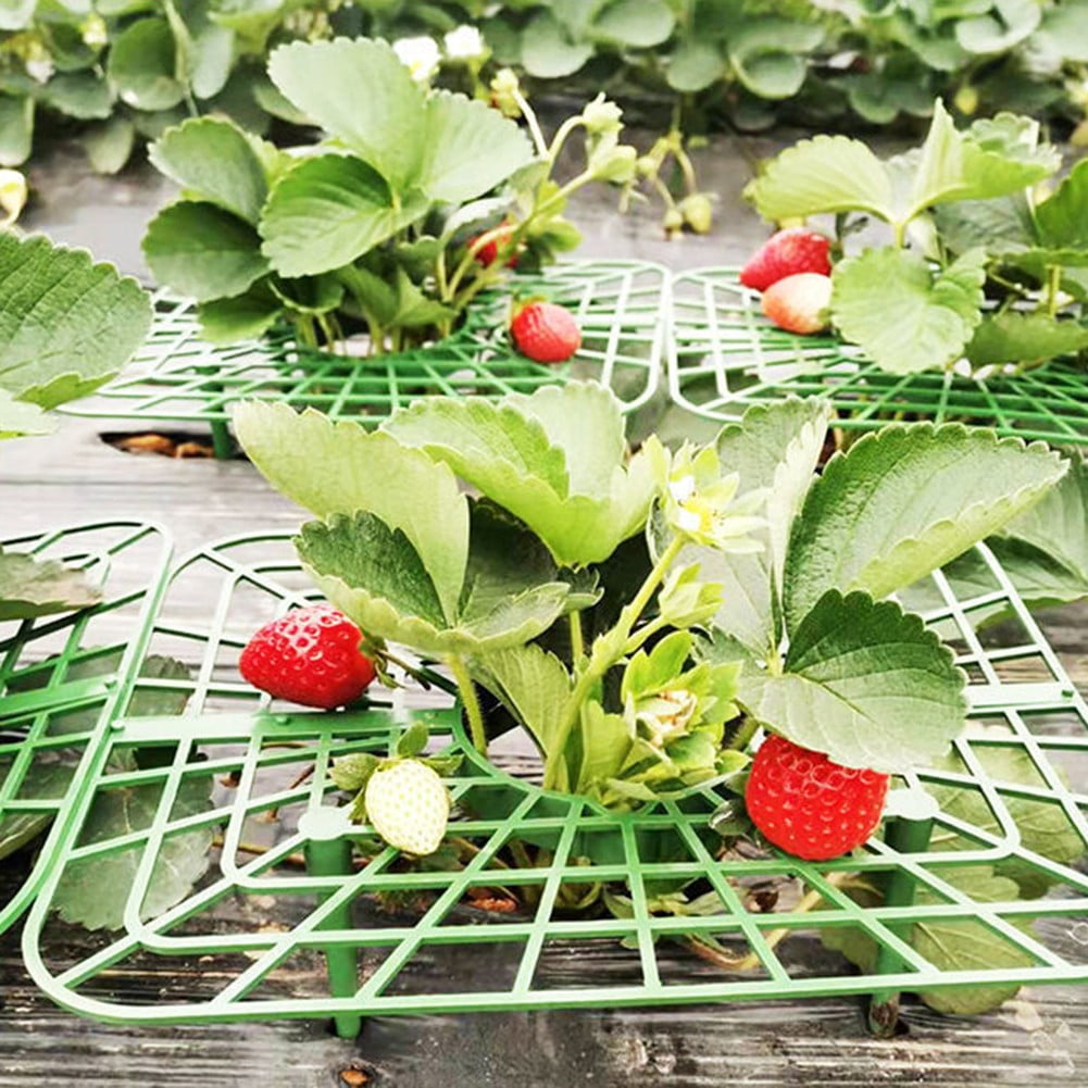 5/10Pcs Strawberry Plant-Supports With 4 Sturdy Legs Strawberry Growing Racks Protector Frame Holder Cage From Mold Rot Dirts