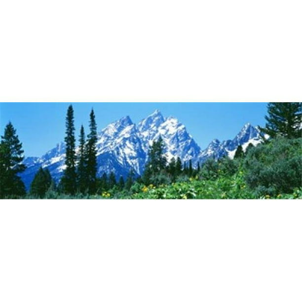 Panoramic Images PPI67519L Grand Teton Parc National WY USA Affiche Imprimée par Panoramic Images - 36 x 12