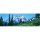 Panoramic Images PPI67519L Grand Teton Parc National WY USA Affiche Imprimée par Panoramic Images - 36 x 12 – image 1 sur 1