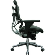 Raynor Eurotech Mesh/Leather Mid Back Ergo human Chair Black LEM6ERGLO-BLK(N