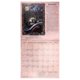 thumbnail image 2 of Witches Calendar Articles Decor Home 2025 Calenda 2025 Witches' Calenda Durables, 2 of 5