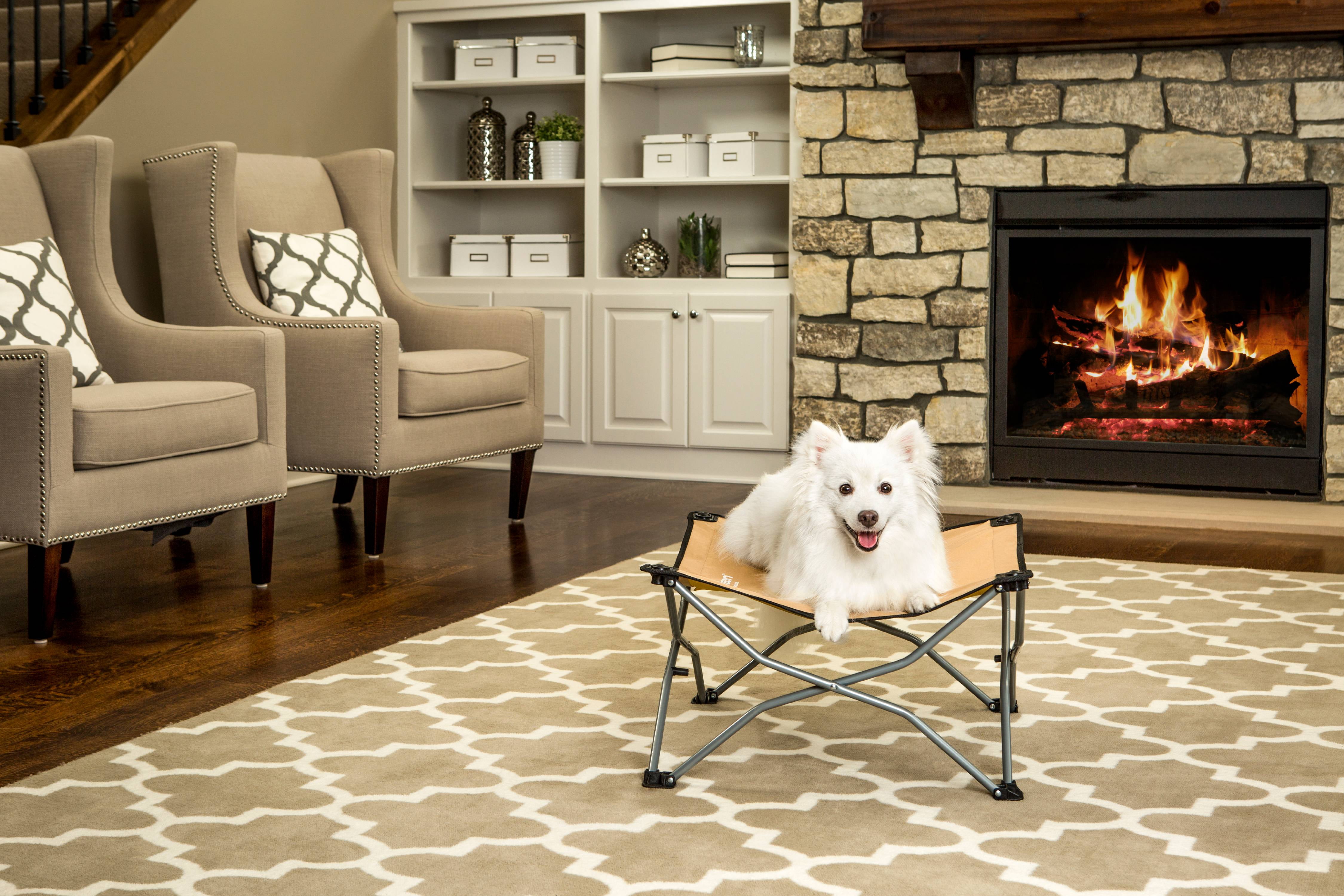 carlson pet products portable pup travel pet bed