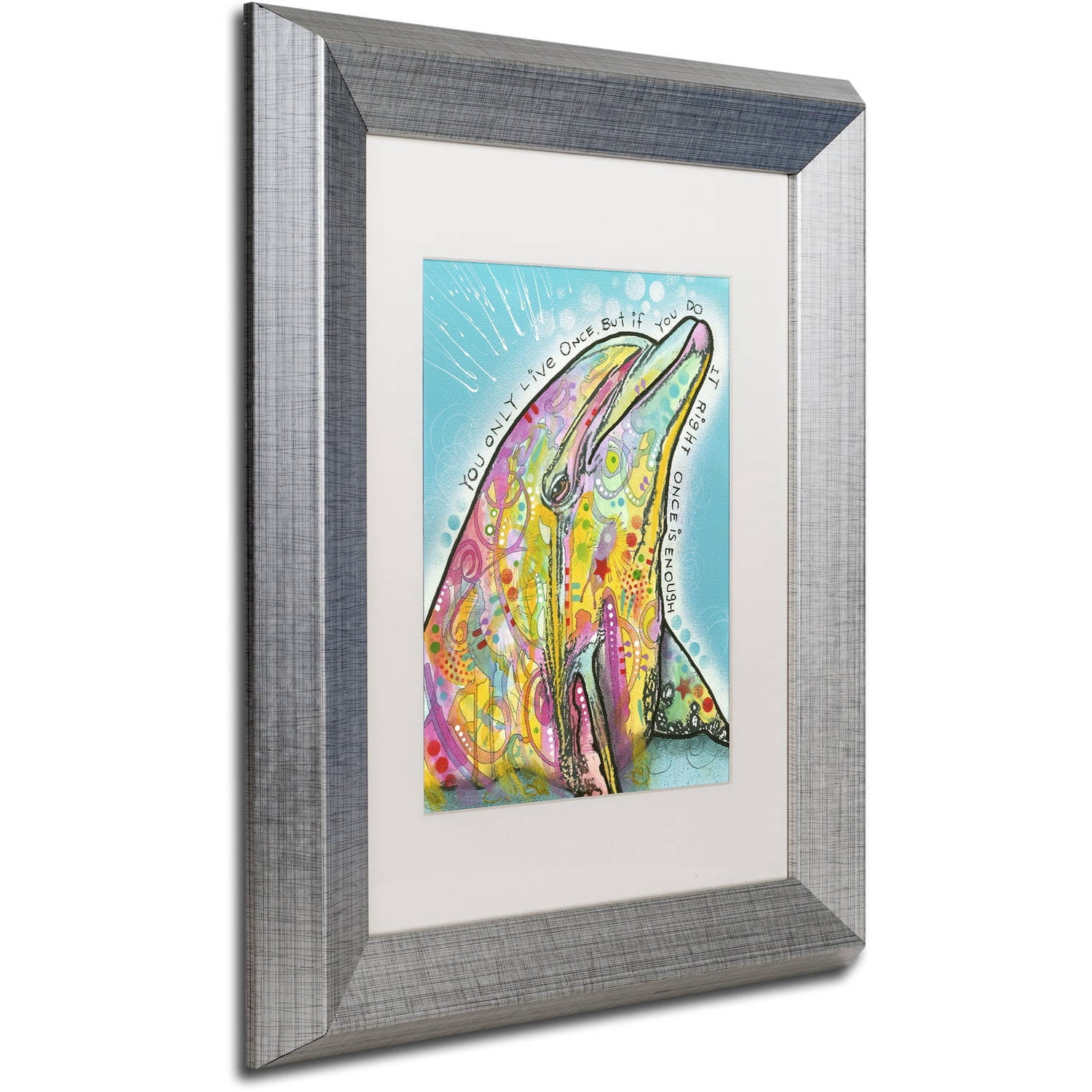 Trademark Fine Art "Dolphin" Canvas Art by Dean Russo, White Matte, Silver Frame