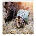 thumbnail image 3 of Hermit Crab Shower Curtain, Close Shot Real Life Image of a Tropical Creature High Detailed Photography, Fabric Bathroom Set with Hooks, 69W X 70L Inches, Multicolor, by Ambesonne, 3 of 3