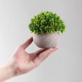thumbnail image 3 of Plantas artificiales, pequeñas plantas falsas, decoración de baño, mini hierba verde de plástico en maceta, plantas de imitación, vegetación de plástico para cocina casera de granja, 3 of 5