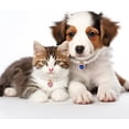 thumbnail image 6 of 4 Pcs Pet Pearl Necklaces with Heart Shape Rhinestone Dog Cat Fancy Collars with Crystal Pendant Pet Collar Pet Charms for Wedding Birthday Party for Puppy Pets Small Dogs, 6 of 8
