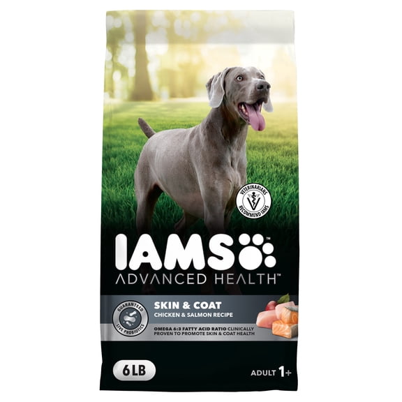 IAMS Advanced Health Skin & Coat Chicken and Salmon Recipe Adult Dry Dog Food, 4.5 lb Bag