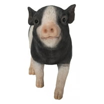 Hi-Line Gift Ltd 87726-F Baby Pig Standing, 8.7-inch Length, Black and White, Polyresin