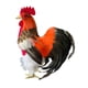 thumbnail image 4 of Modelo de simulación de gallo, figura de gallo falso, accesorio para fotografía al aire libre Multicolor, 4 of 9