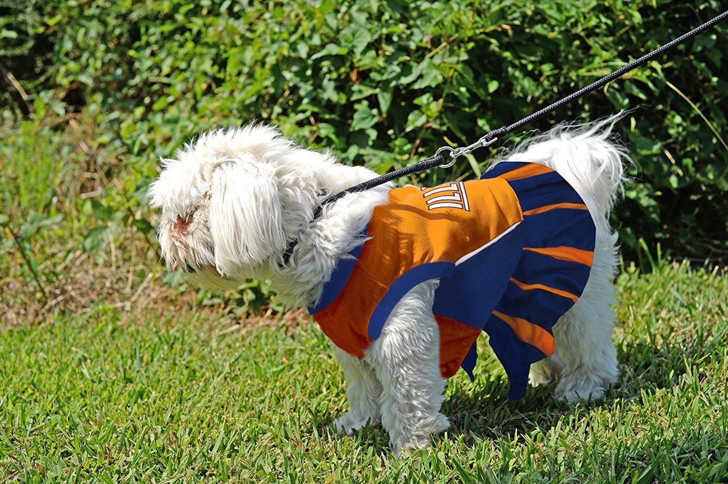 Pets First College Illinois Fighting Illini Cheerleader, 3 Sizes Pet Dress Available. Licensed Dog Outfit