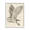 thumbnail image 4 of Stupell Industries Flying Barn Owl Wings Detailed Monochrome Drawing Framed Wall Art, 16 x 20, Design by Grace Popp, 4 of 5