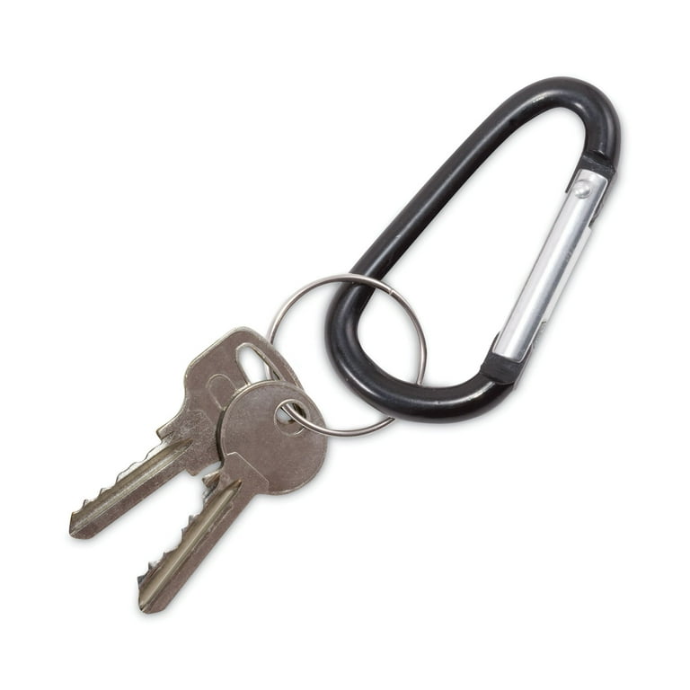 Carabiner Key Chains, (10) 1 Carabiner Key Chains, (10) 1