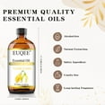 thumbnail image 6 of EUQEE Ylang Ylang Essential Oil, 100% Pure Natural for Diffusers, Skin, Aromatherapy, Soap Making, 118ml, 6 of 11