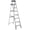 Aluminum, variant on JOZ 6 Step Ladder for Adults, 800lbs Heavy Duty Folding Ladder with Tool Tray, Upgraded Non Slip Handrails and Anti Slip Pedal for Home Office Garage, Black