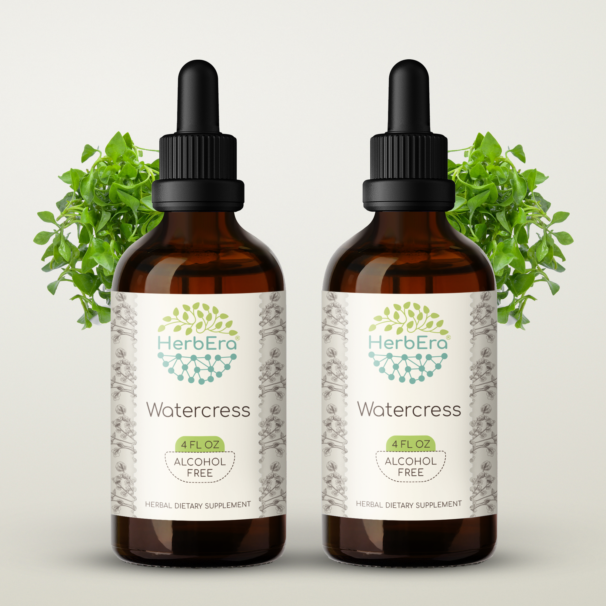 Watercress AlcoholFREE Herbal Extract Tincture, SuperConcentrated