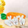 thumbnail image 2 of LSLJS Easter Bunny Stuffed Toys, 3 Pcs Rabbits Plush Doll with Carrot Bag, Hide and Seek Plush Bunnies in Carrot Pouch, Unzip Stuffed Animal Zipper Carrot Purse Easter Basket Stuffer Gifts for Kids, 2 of 5