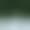 Gray, variant on 16" x 16" Simply Daisy Hidden Forest Winter Polyester Indoor/Outdoor Pillow, Green (1 Count)
