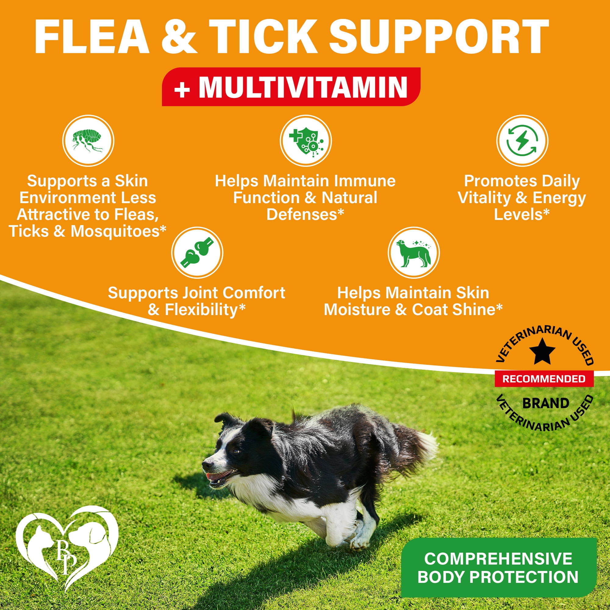 Beloved Pets Support Chews for Dogs - Multivitamin with Glucosamine, Hip and Joint Care, All Breeds, 10 oz