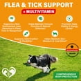 thumbnail image 2 of Beloved Pets Support Chews for Dogs - Multivitamin with Glucosamine, Hip and Joint Care, All Breeds, 10 oz, 2 of 6