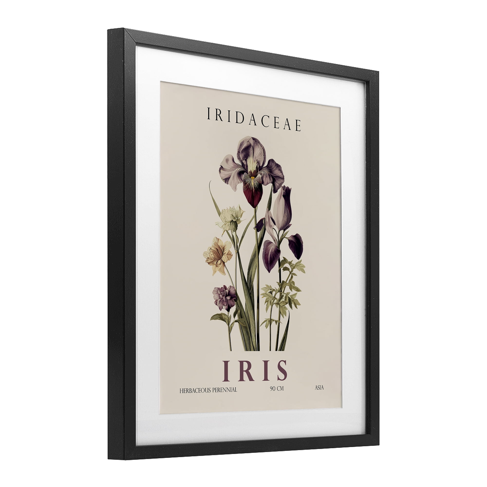 Stupell Industries Natural Iris Bundle Black Framed Print Under Glass, design by Christopher Giampietro