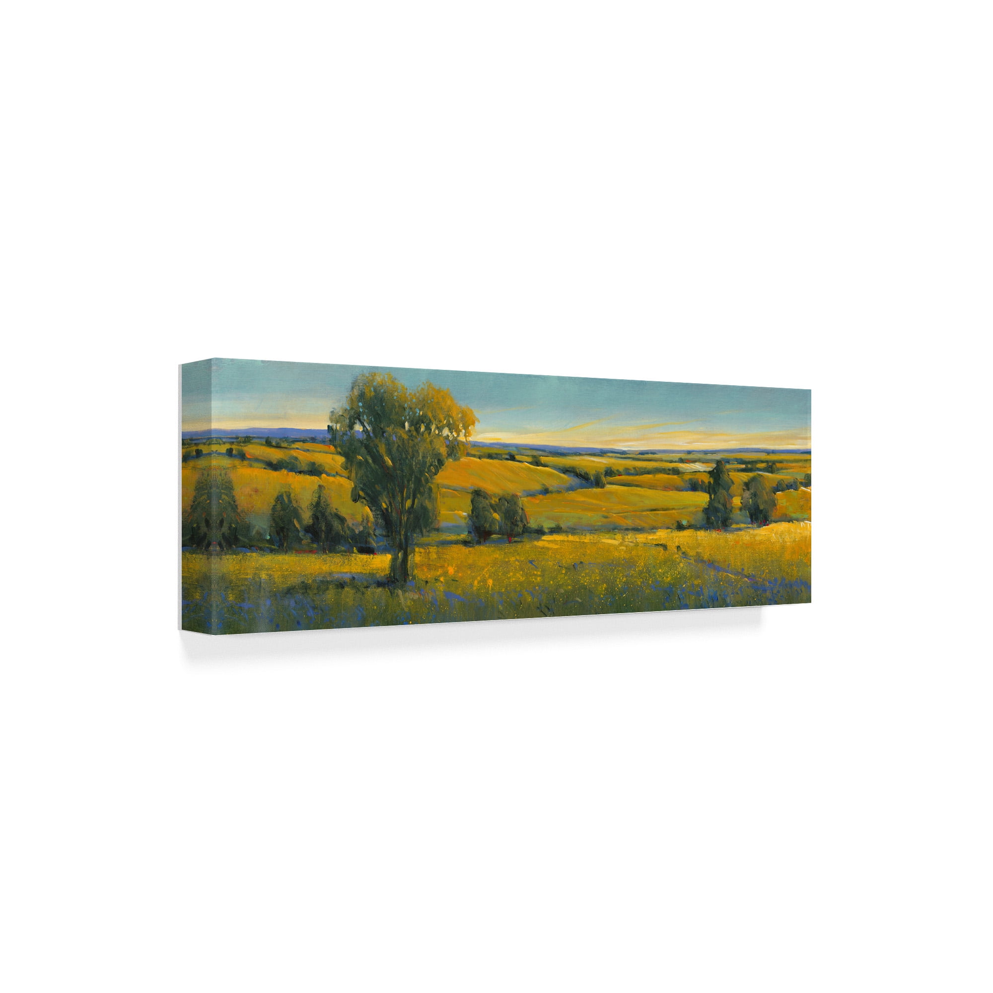Trademark Fine Art 'Picturesque Scene I' Canvas Art by Tim OToole