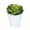 White, variant on Cute Mini Solid Color Pail Bucket Wedding Party Candy Favours Home Hotel Decor by Mightlink