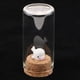 thumbnail image 3 of Terrario Cloche Soledad Caja de Cristal Jardín En Miniatura Decoración Para El Hogar, 3 of 10