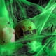 thumbnail image 1 of 200g, 30 spider) Halloween Spider Web Decoration, Glow Spider Web, Fake Spiders, Halloween Spiders Set, for Halloween Decoration Party, Indoor, Outdoo, 1 of 5