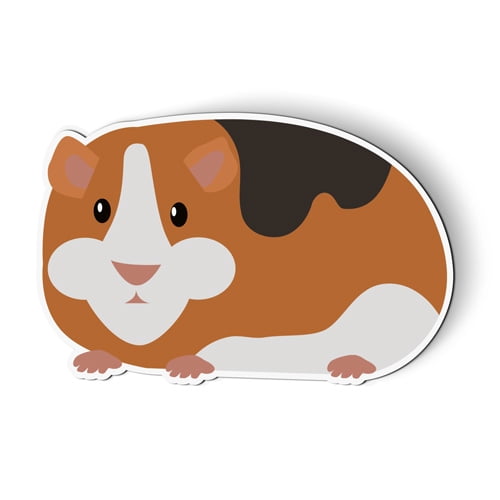 Guinea Pig - 5" Magnet for Car Locker Refrigerator