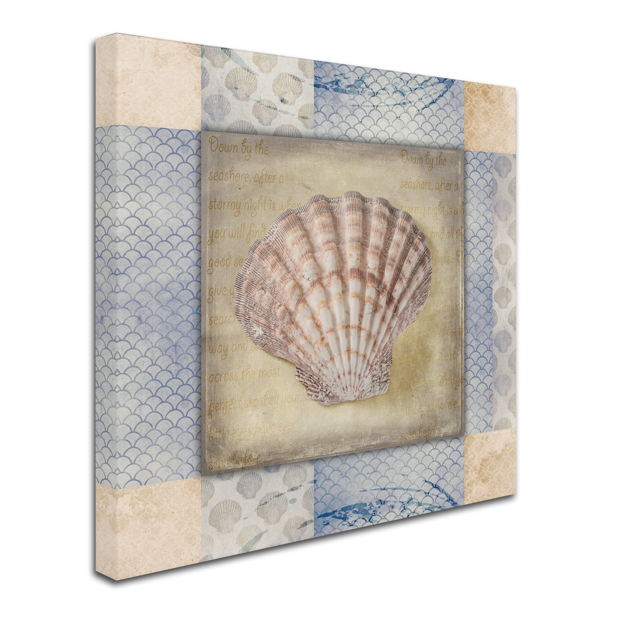 Trademark Fine Art 'White Sea Shell' Canvas Art by LightBoxJournal