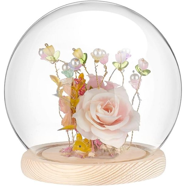 Campana de cristal de 15 cm (5,9 pulgadas) con base de madera natural. Vitrina decorativa para botellas de cristal.