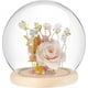 thumbnail image 1 of Campana de cristal de 15 cm (5,9 pulgadas) con base de madera natural. Vitrina decorativa para botellas de cristal., 1 of 6