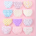 thumbnail image 2 of Emy Dola 12 Pack Girls Brief Kids Soft Underwear Panties Cotton Undies Adorable Prints Briefs for 2-10 Years Toddler, 2 of 9