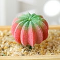 thumbnail image 2 of Coofit Plastic Cactus Pick Unpotted - DIY Mini Artificial Plant Stem Faux Cactus Decor, 2 of 4