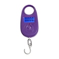thumbnail image 1 of 25Kg 5g Mini Balance Numérique Électronique de Pêche Poids de Poche Balances de Bagages Crochet Suspendu LCD Pesée, Pesée Précise, 1 of 5