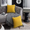 thumbnail image 4 of Juego de 2 fundas de almohada decorativas de terciopelo con textura, estilo lujoso, suave, estilo rústico, para sofá, dormitorio, 18 x 18 pulgadas, 4 of 7