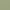 Terrace Green, variant on Wonder Nation Toddler Boys Adventure Shirt with Short Sleeves, Sizes 12M-5T