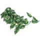 thumbnail image 3 of Ratán De Planta Simulada Respetuoso Con El Medio Ambiente De Plantas Acuáticas, Ratán De Planta De Plástico Seguro Para Reptiles, Para Acuario, 3 of 7