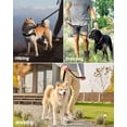 thumbnail image 3 of OutdoorMaster Bungee Dog Leash, Heavy Duty Dog Leash with Shock Absorption, 2 Padded Handles Training Leash, Improved Dog Safety and Comfort (Black, 4 FT), 3 of 7