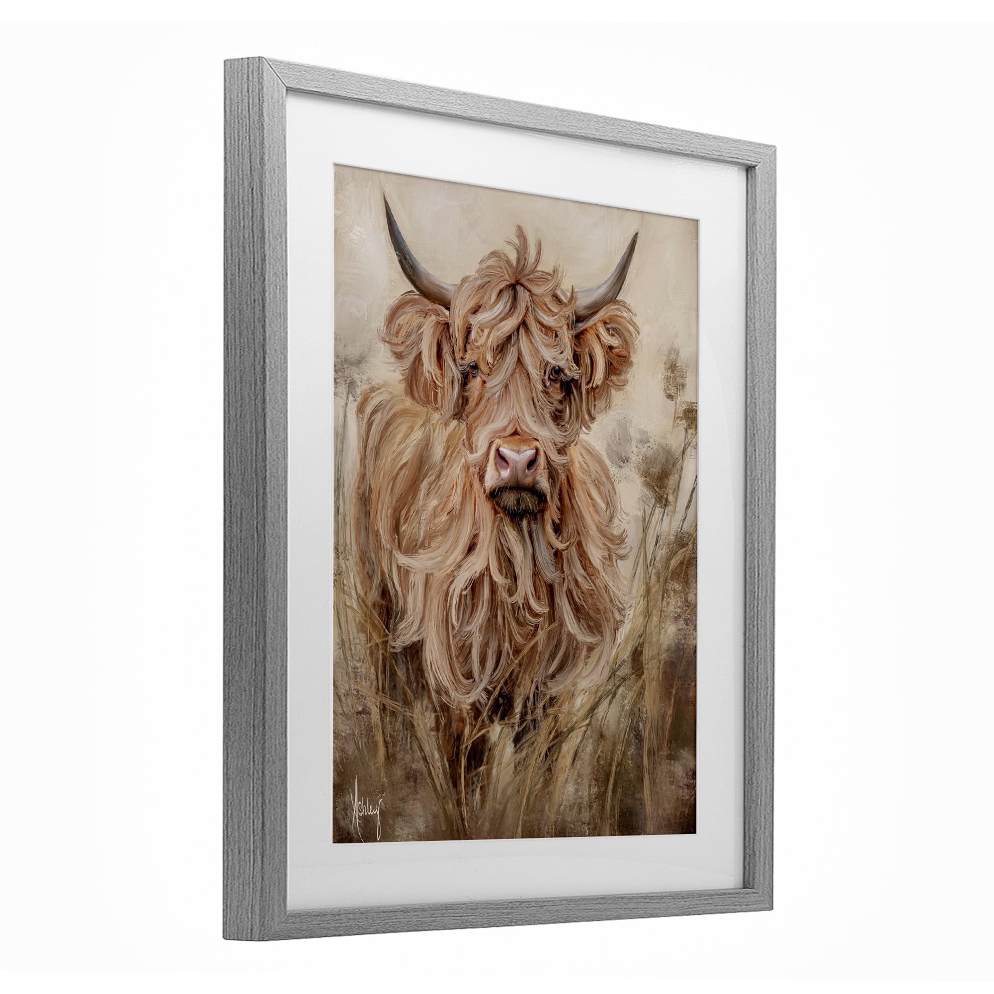 Curly Haired Highland Cattle Gray Framed Print Under Glass, design by Ashley Bradley