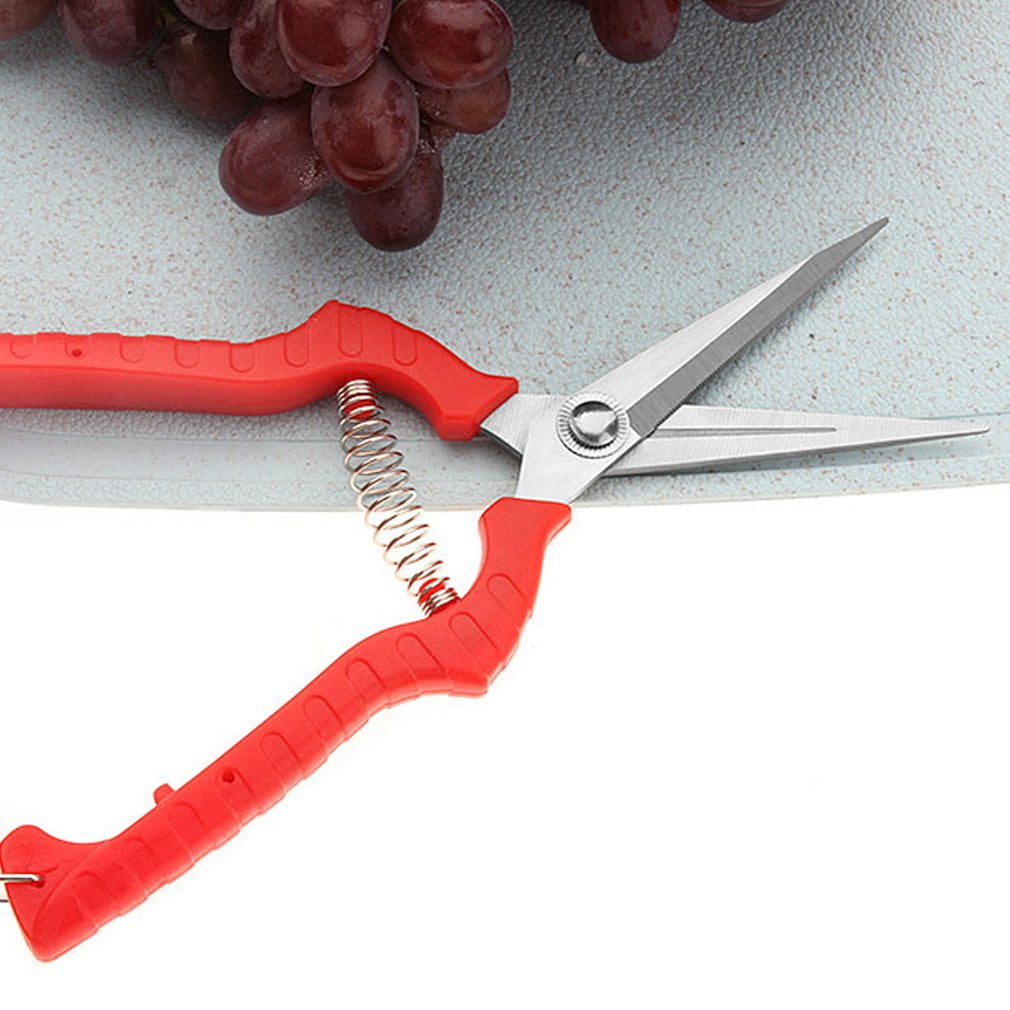 Gardening scissors pruning scissors fruit picking scissors Walmart Canada