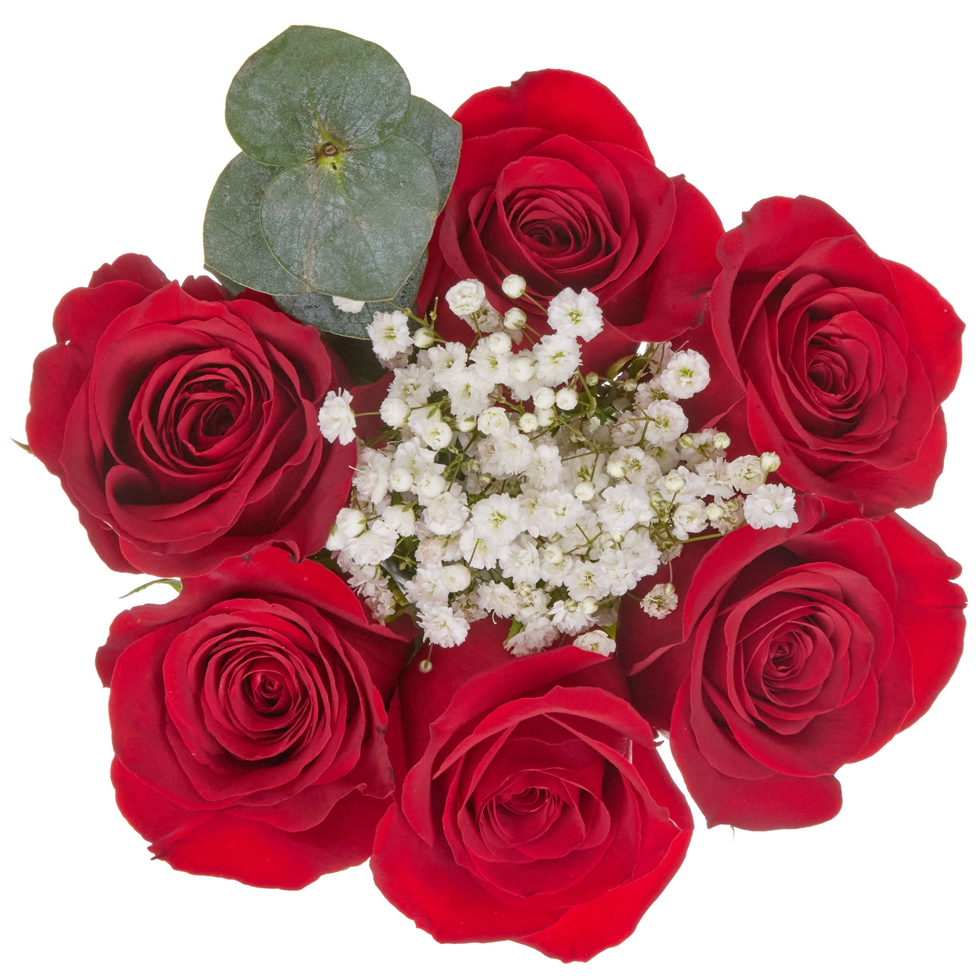 Rose Plus Flower Bouquet 6 Stem, Colors May Vary