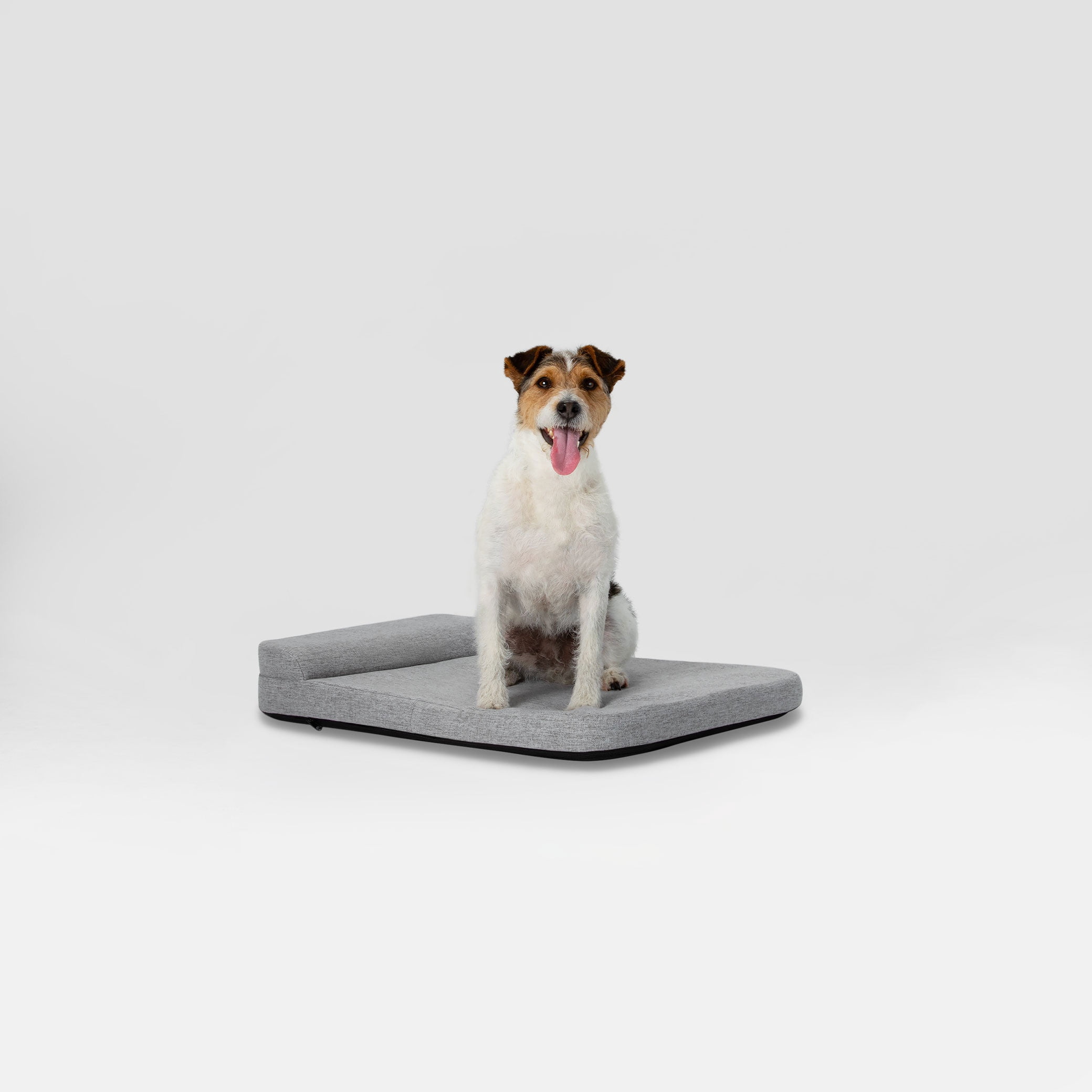 Diggs 24" Bolstr Dog Bed with Headrest - Premium Memory Foam Pet Bed for Crate or Home - Grey