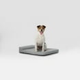 thumbnail image 6 of Diggs 24" Bolstr Dog Bed with Headrest - Premium Memory Foam Pet Bed for Crate or Home - Grey, 6 of 7