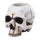 thumbnail image 1 of EeaseMX Candelabro con forma de calavera, adorno de cabeza de calavera, decoración de escritorio para Halloween, 1 of 8