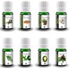 Aroma2Go 100% Pure Plant Based Essential Oil Gift Set of 8 Aromatherapy Bottles - The Tree Hugger Set. Includes 8 x 5mL Size Aromatherapy Oils with No additives or Chemicals
