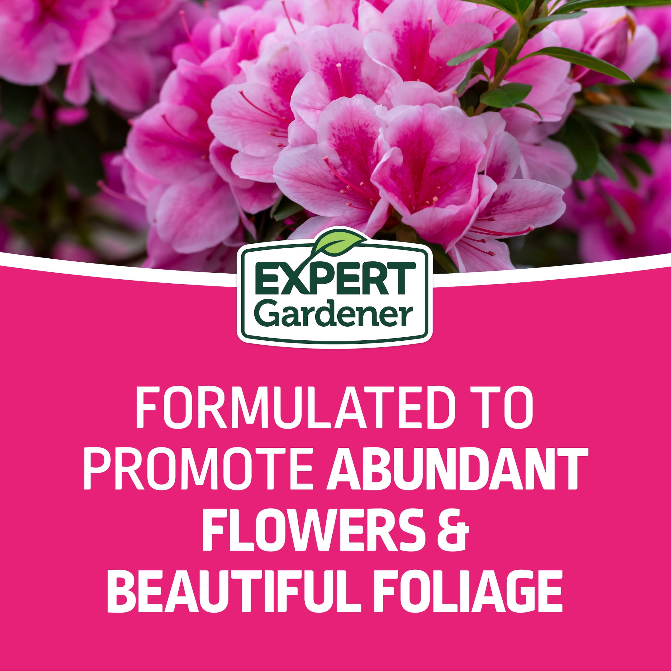 Expert Gardener Azalea, Camellia & Rhododendron Plant Food Fertilizer 10-8-8, 4 lb.