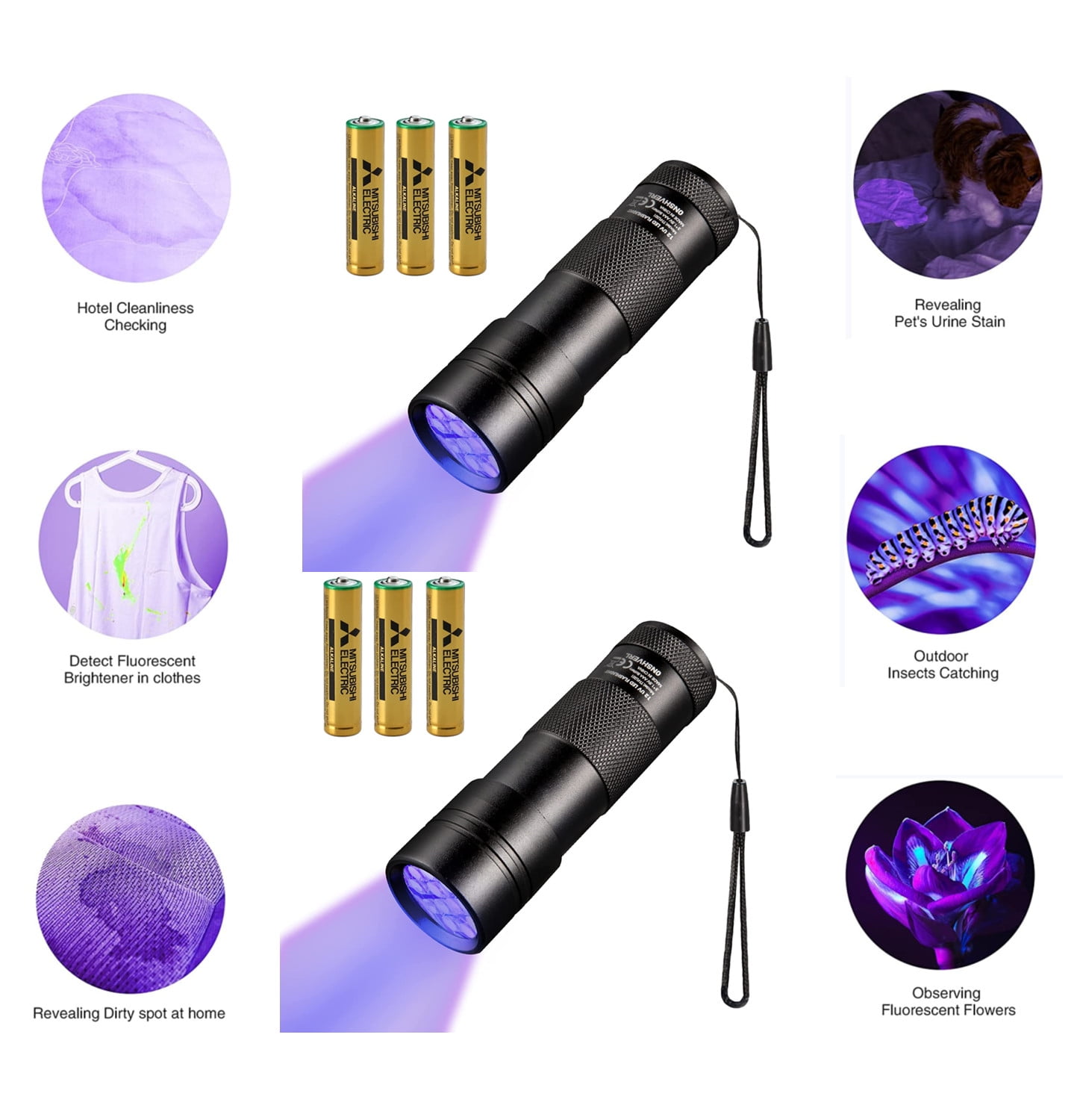 Can A Black Light Detect Dog Urine