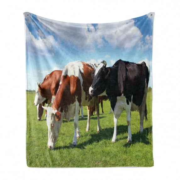 Cattle Soft Flannel Fleece Throw Blanket, Various Colored Herd of Cows Grazing on Pasture Nature Themed Digital Image Print, Cozy Plush for Indoor and Outdoor Use, 70" x 90", Multicolor, by Ambesonne